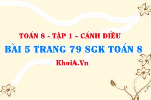 Bài 5 trang 79 SGK Toán 8 tập 1 Cánh Diều